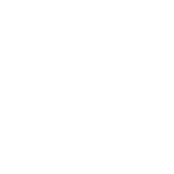 FC Inter